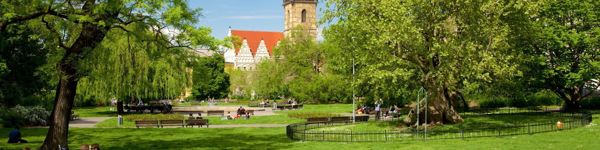 A park with green grass, trees, and a large building with a tower in the background.