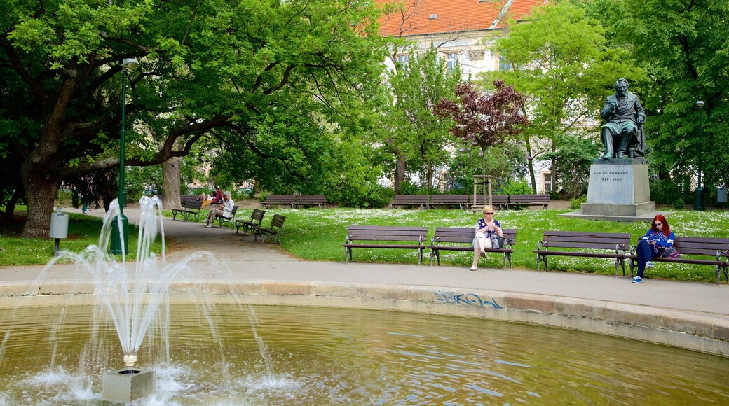 Charles Square featuring a park and a fountain