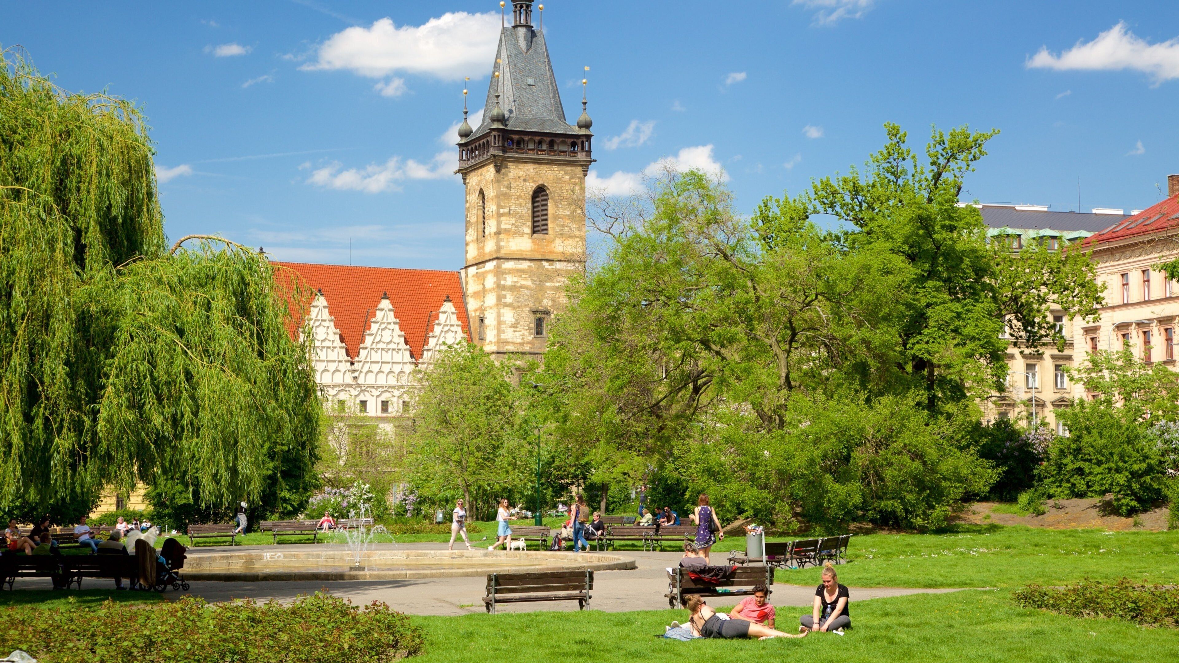 Charles Square featuring a park