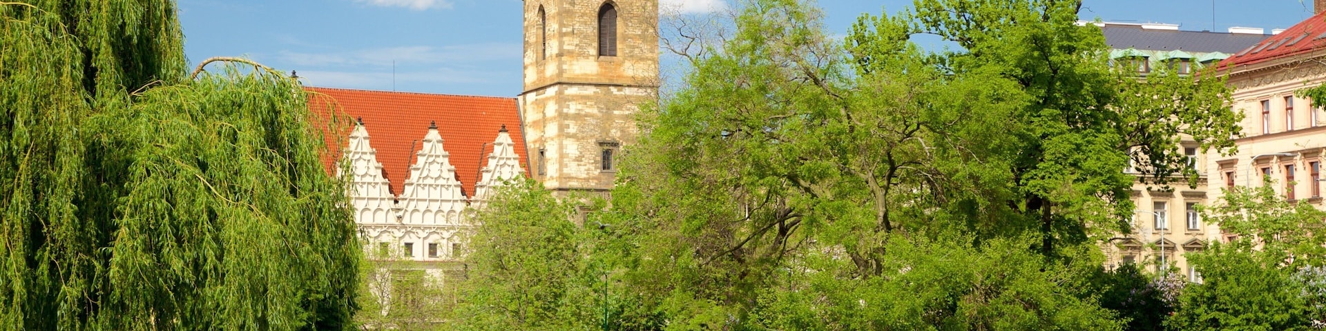 Charles Square featuring a garden