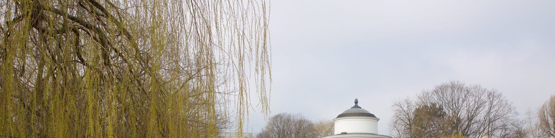 Saxon Gardens featuring a pond and a fountain