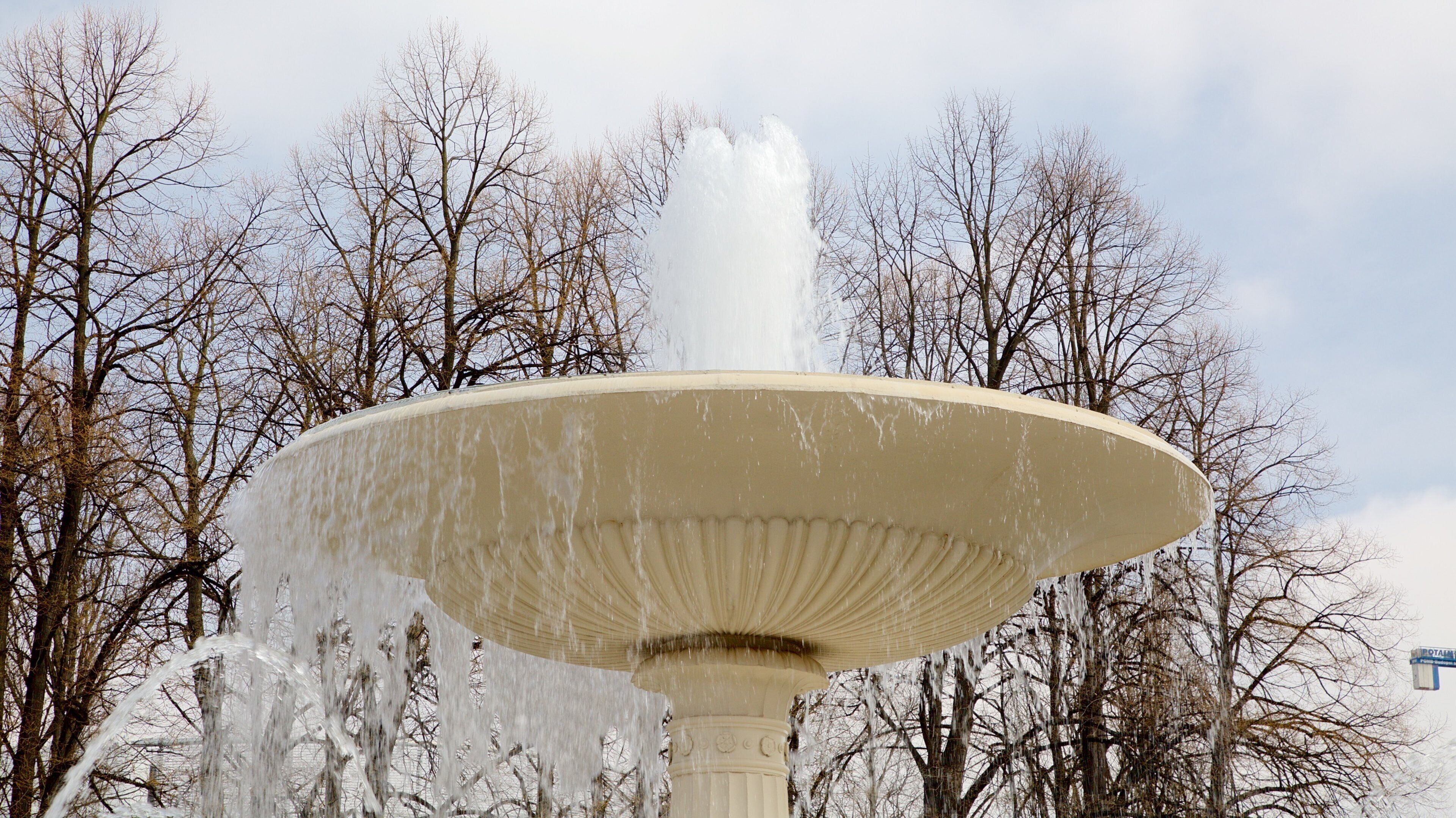Saxon Gardens featuring a fountain