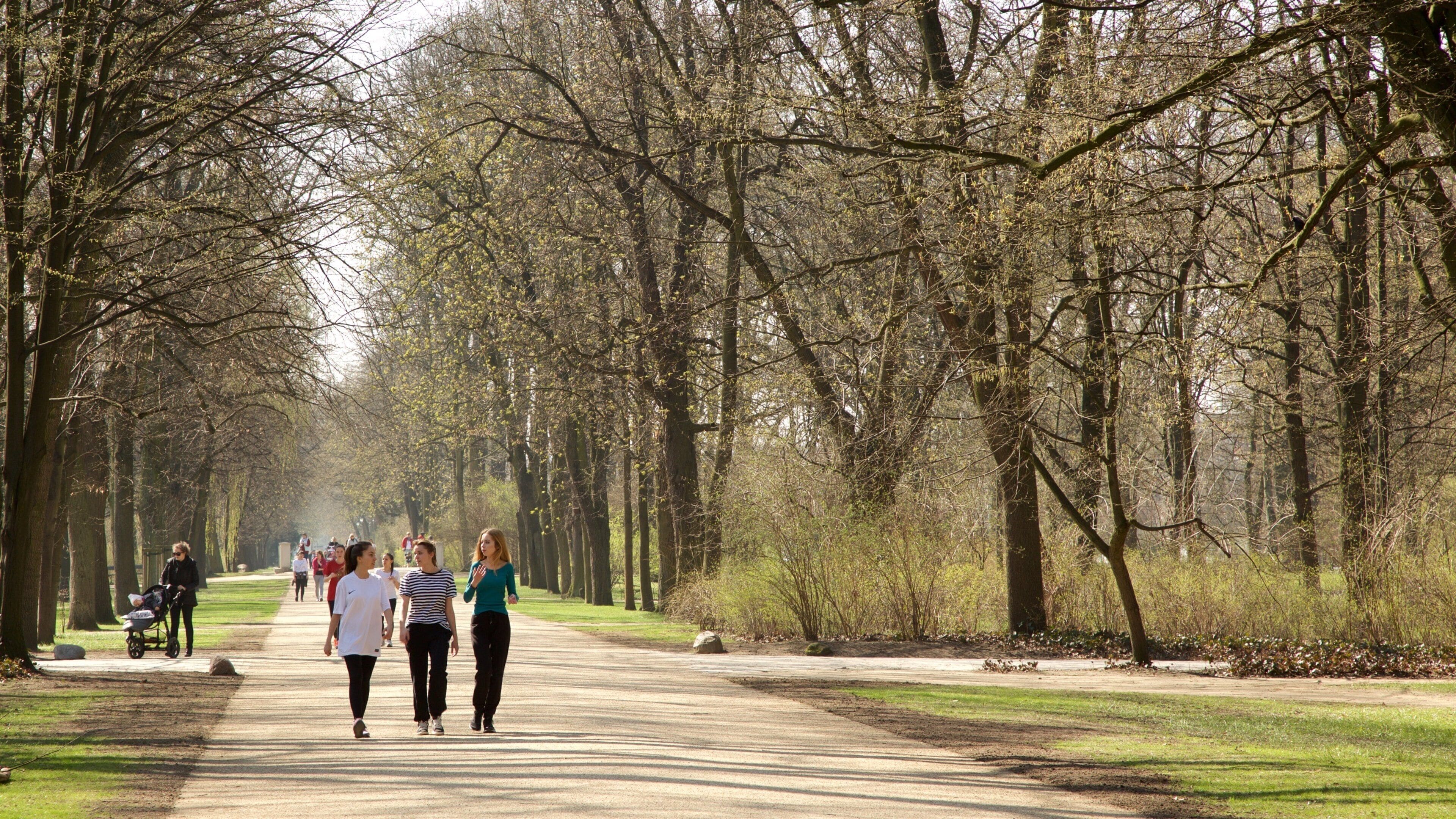 Um caminho em um parque arborizado, com pessoas caminhando.