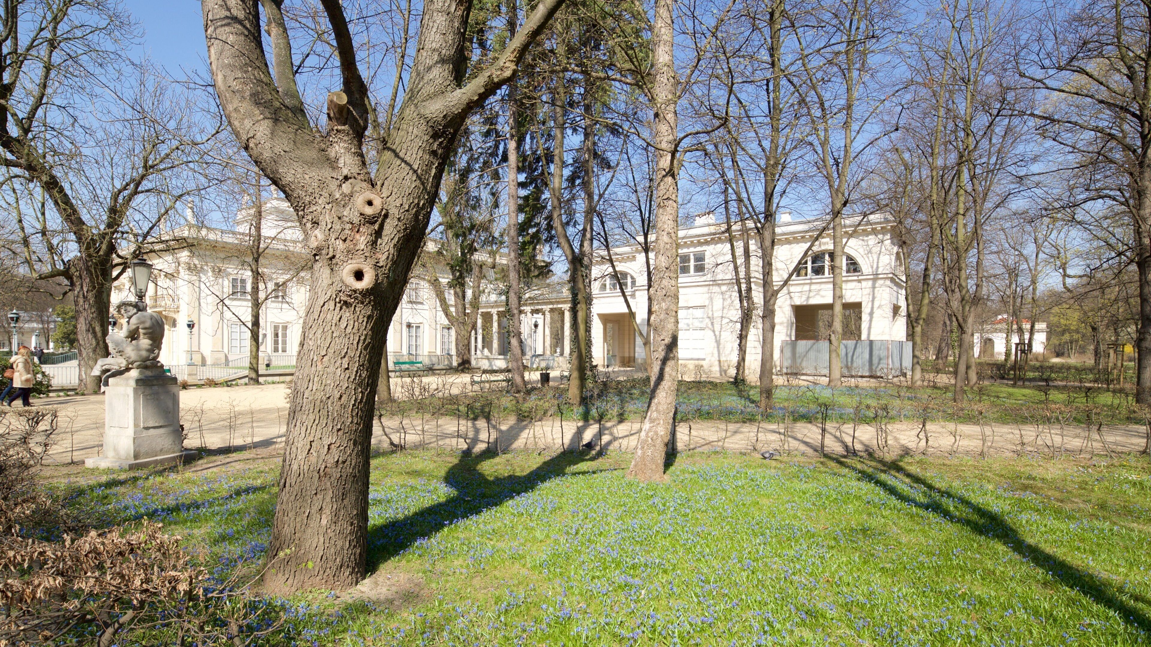 Lazienki Park which includes a park