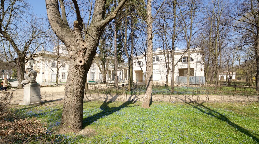 Lazienki Park which includes a park