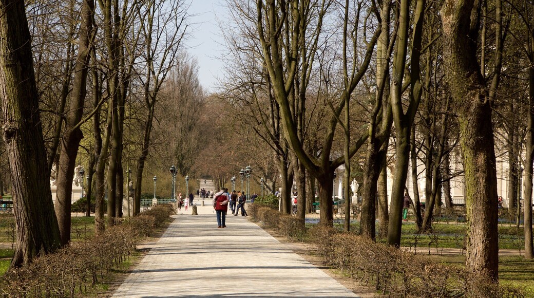 Lazienki Park featuring a garden