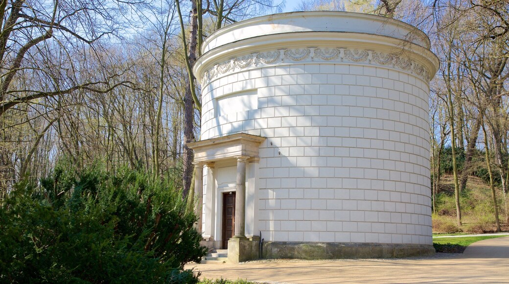 Lazienki Park featuring a garden