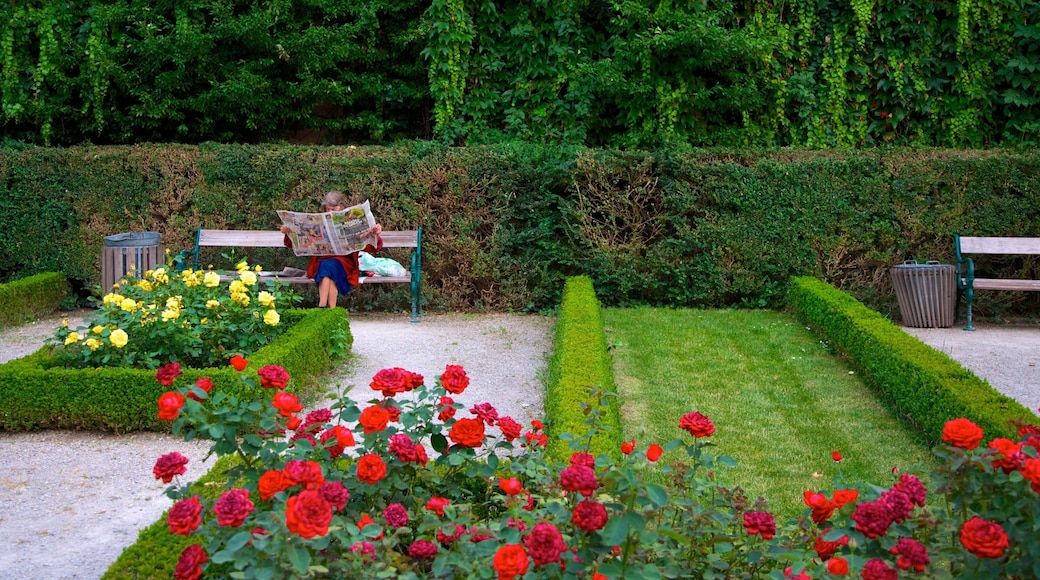 Mirabell Palace and Gardens showing flowers and a garden as well as an individual female