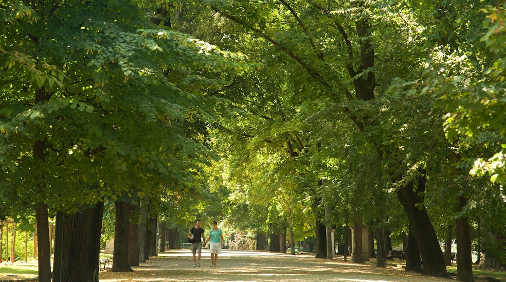 Indro Montanelli Public Gardens showing a park as well as a couple