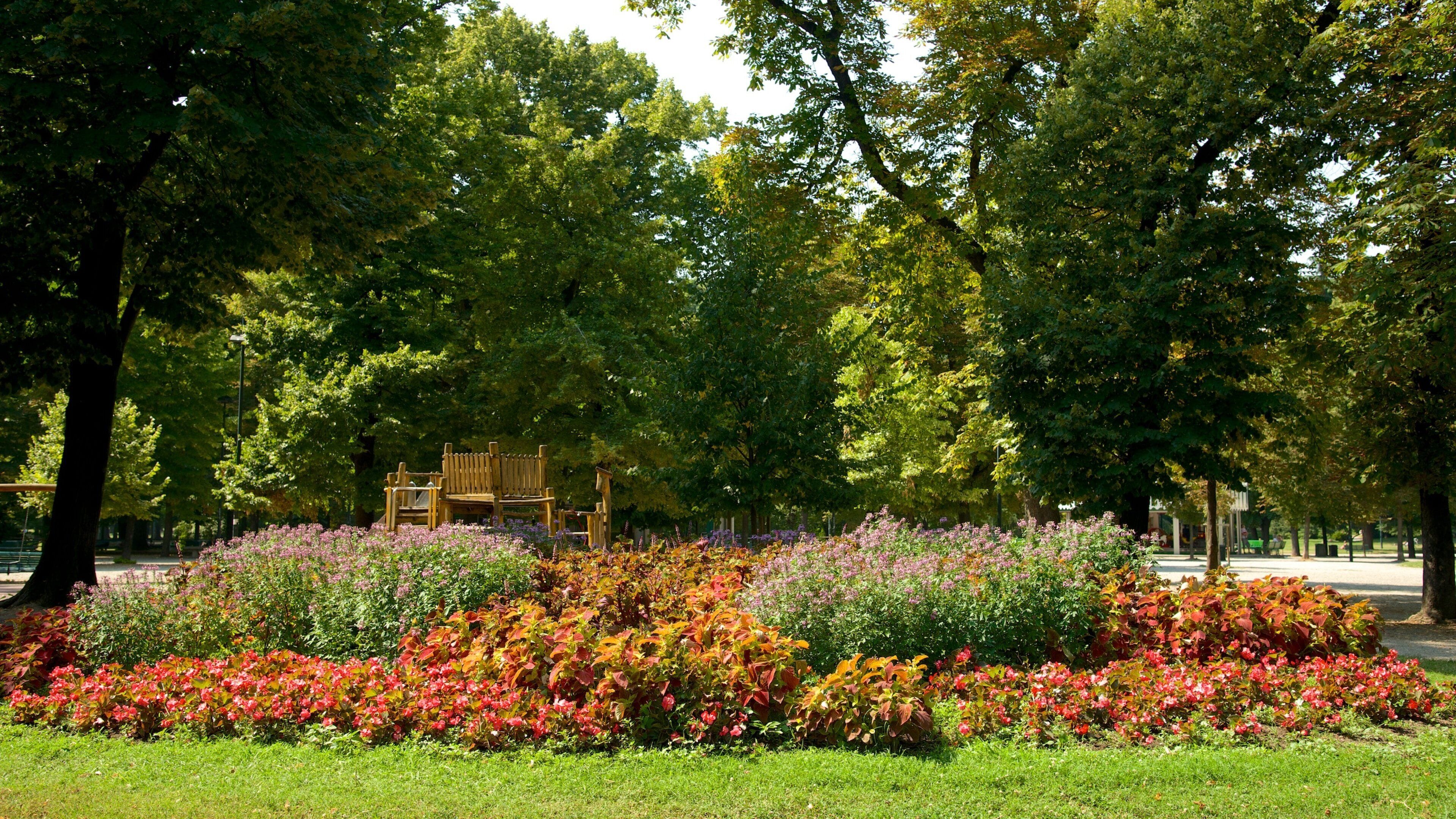 Milan featuring a park and flowers