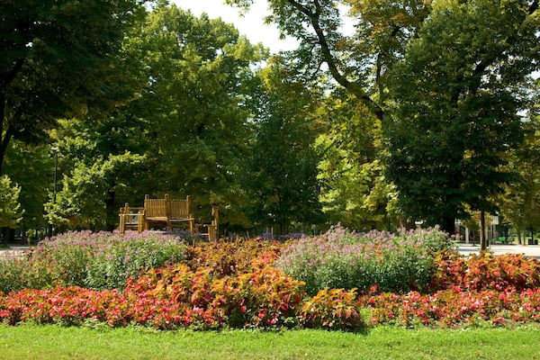 Milan montrant fleurs et jardin