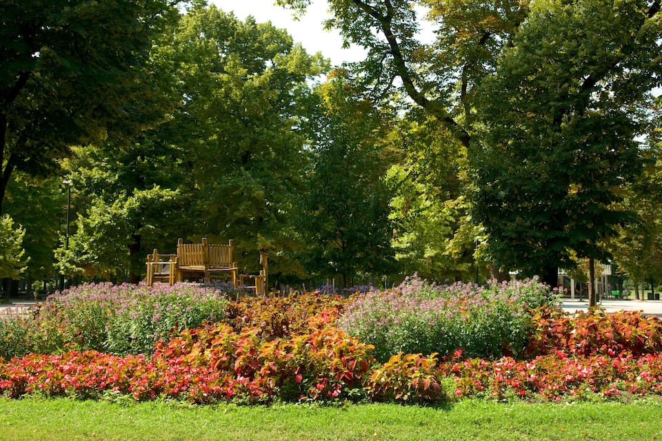 A park with a wooden bench, colorful flower beds, and tall trees.