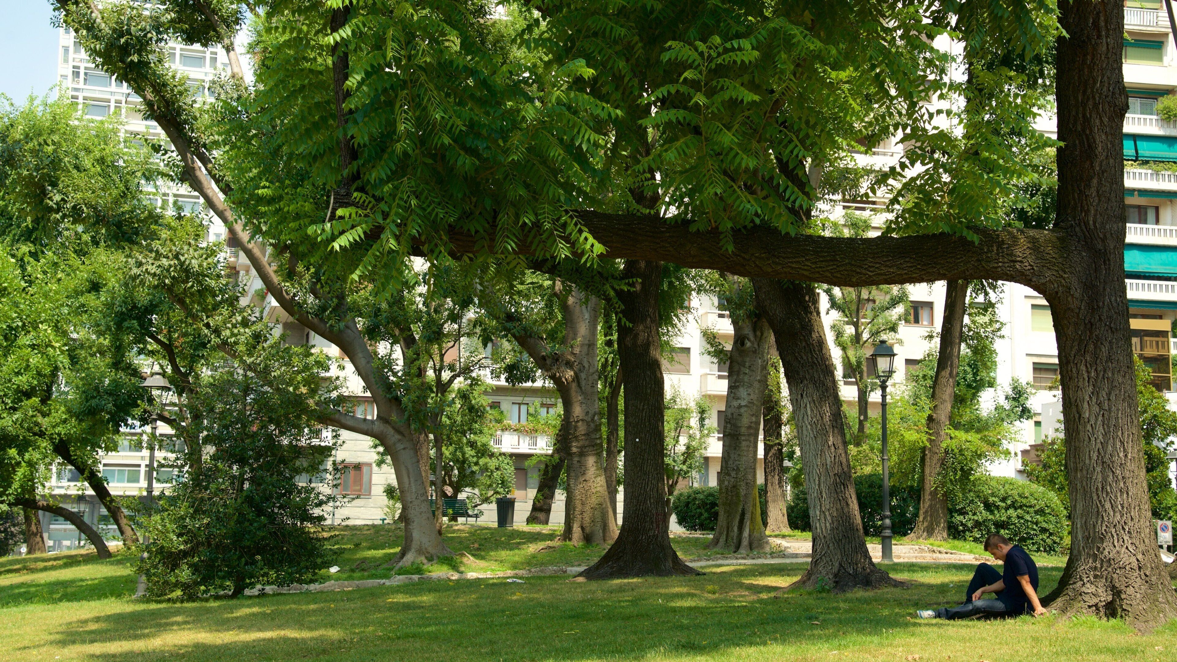 Piazza della Repubblica showing a garden as well as an individual male
