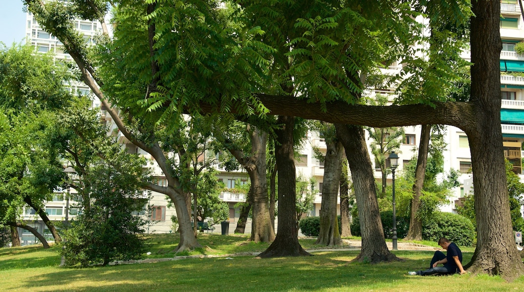 Piazza della Repubblica which includes a garden as well as an individual male