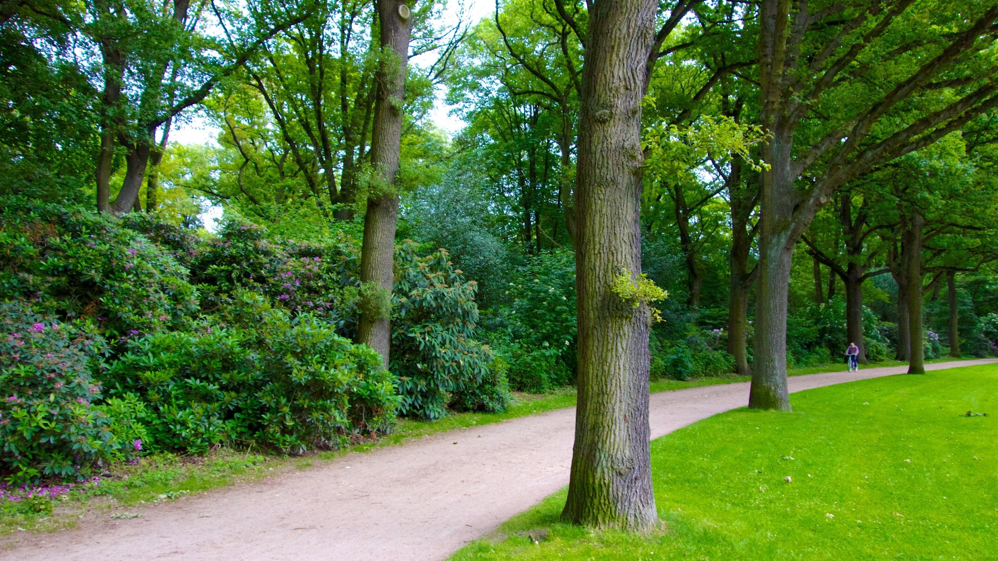 市立公園 其中包括 花園