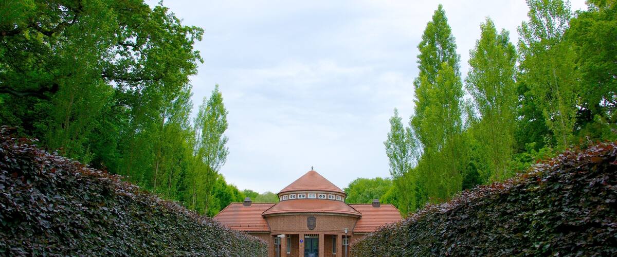 Stadtpark featuring a garden
