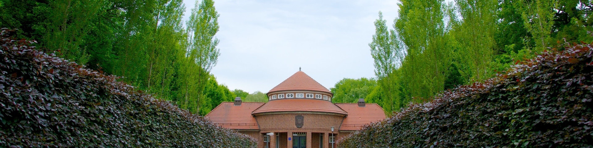 Stadtpark featuring a garden