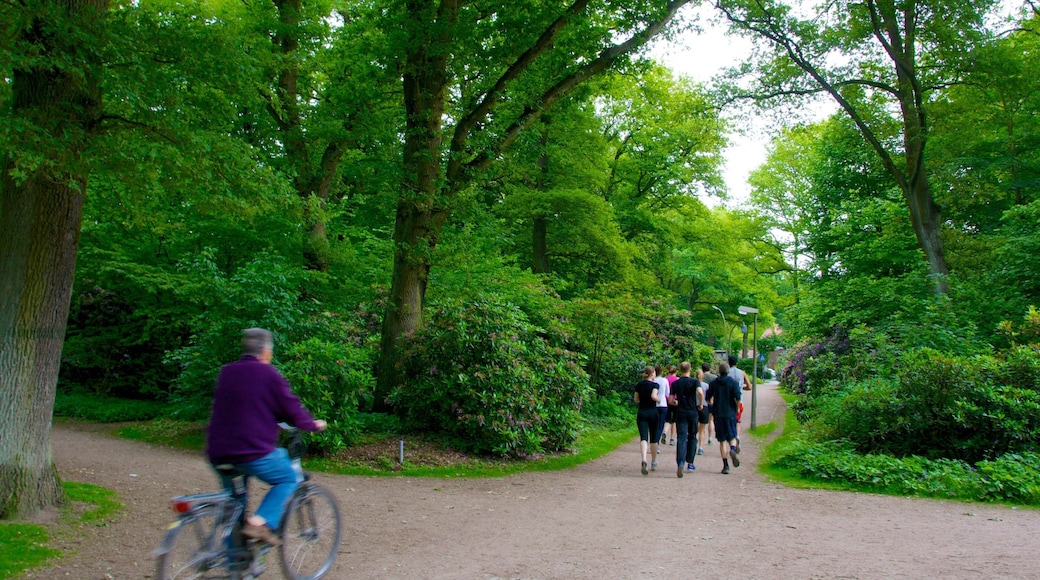 Stadtpark som viser sykling og park