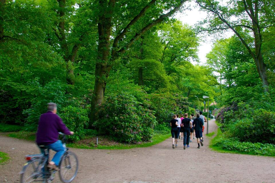 A dirt path through a lush green forest with cyclists and pedestrians.