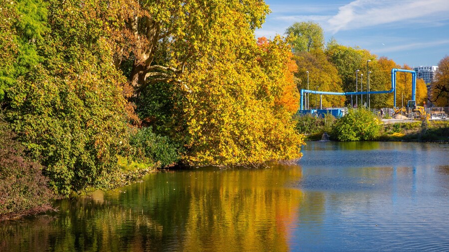 Hofgarten which includes a lake or waterhole