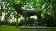 Une statue de loup en bronze, dans un parc avec des arbres et un bâtiment en arrière-plan.