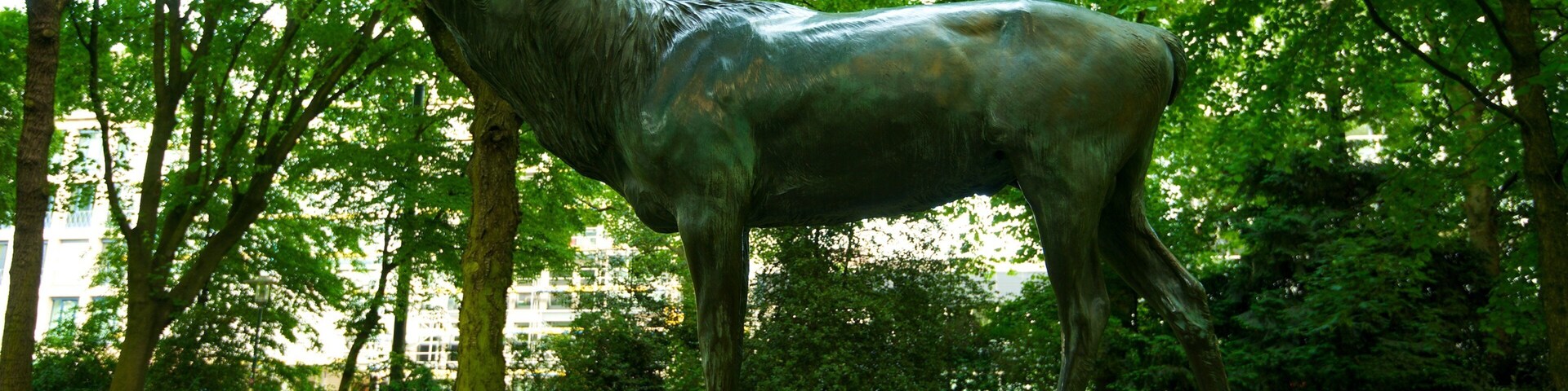 Estátua de bronze de um lobo em um parque com árvores e um edifício ao fundo.