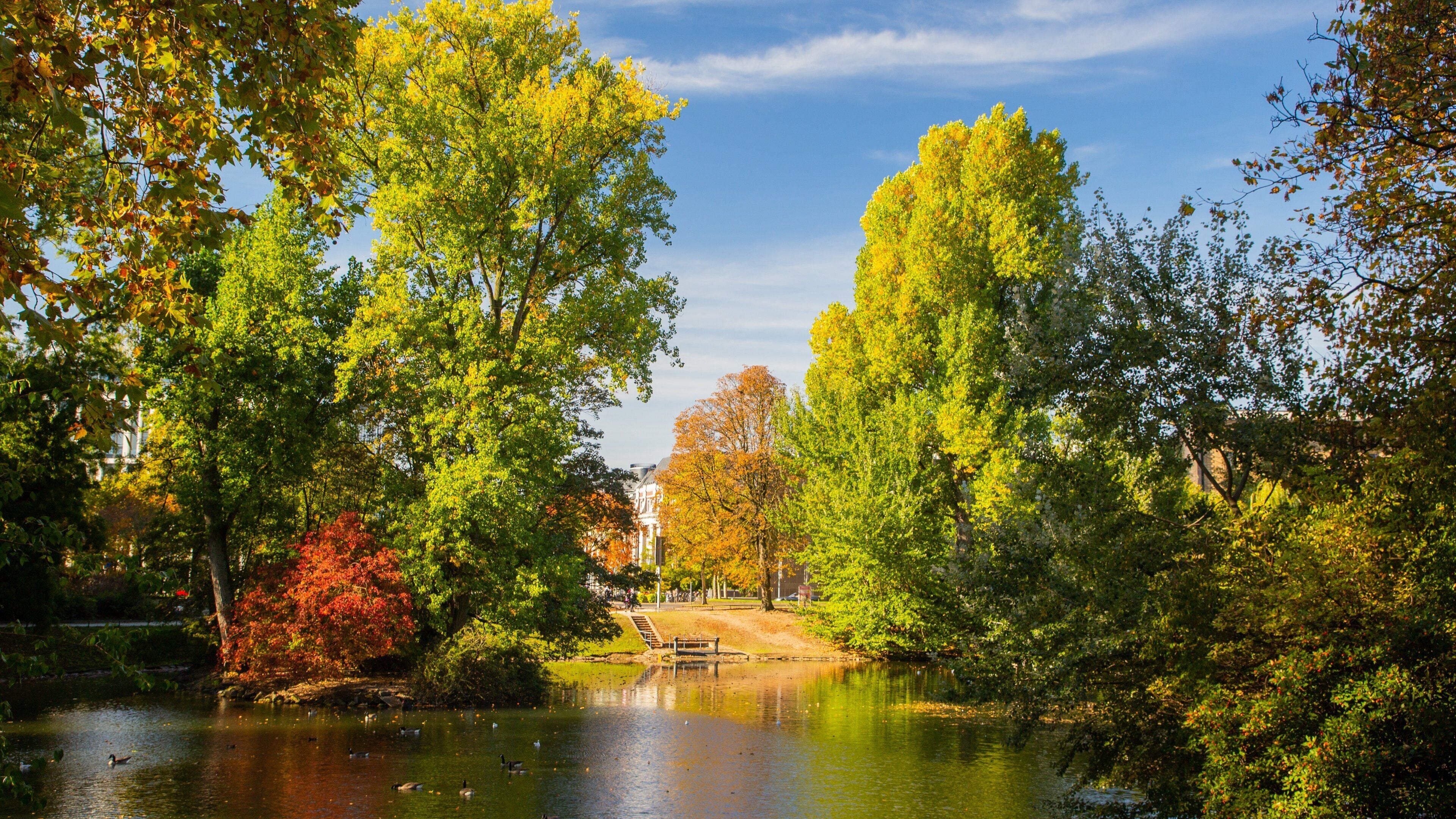 Hofgarten featuring a pond