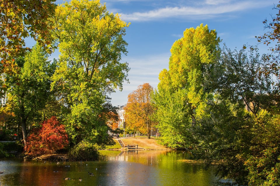 Un parc tranquil amb un estany, ànecs i arbres de colors tardanes.