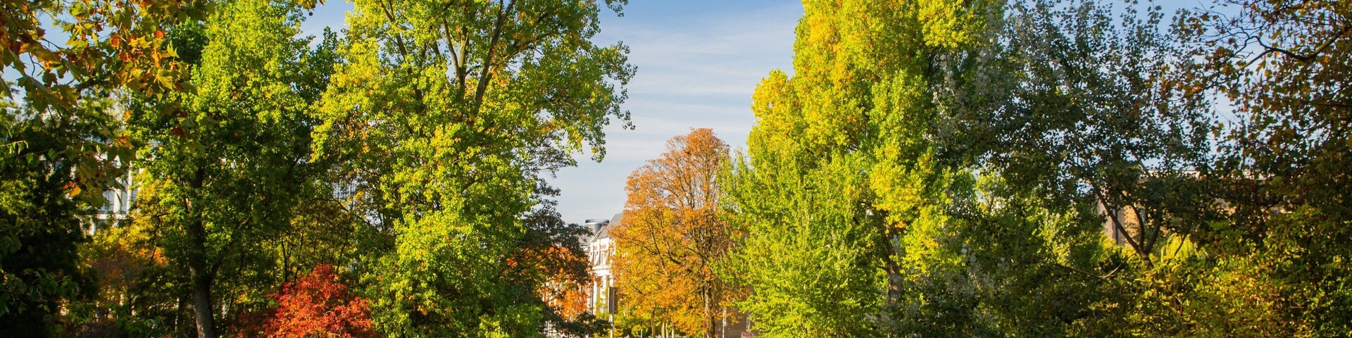 Hofgarten featuring a pond