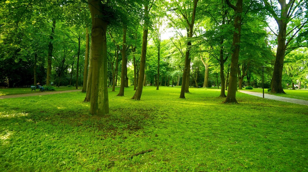 Hofgarten featuring a park