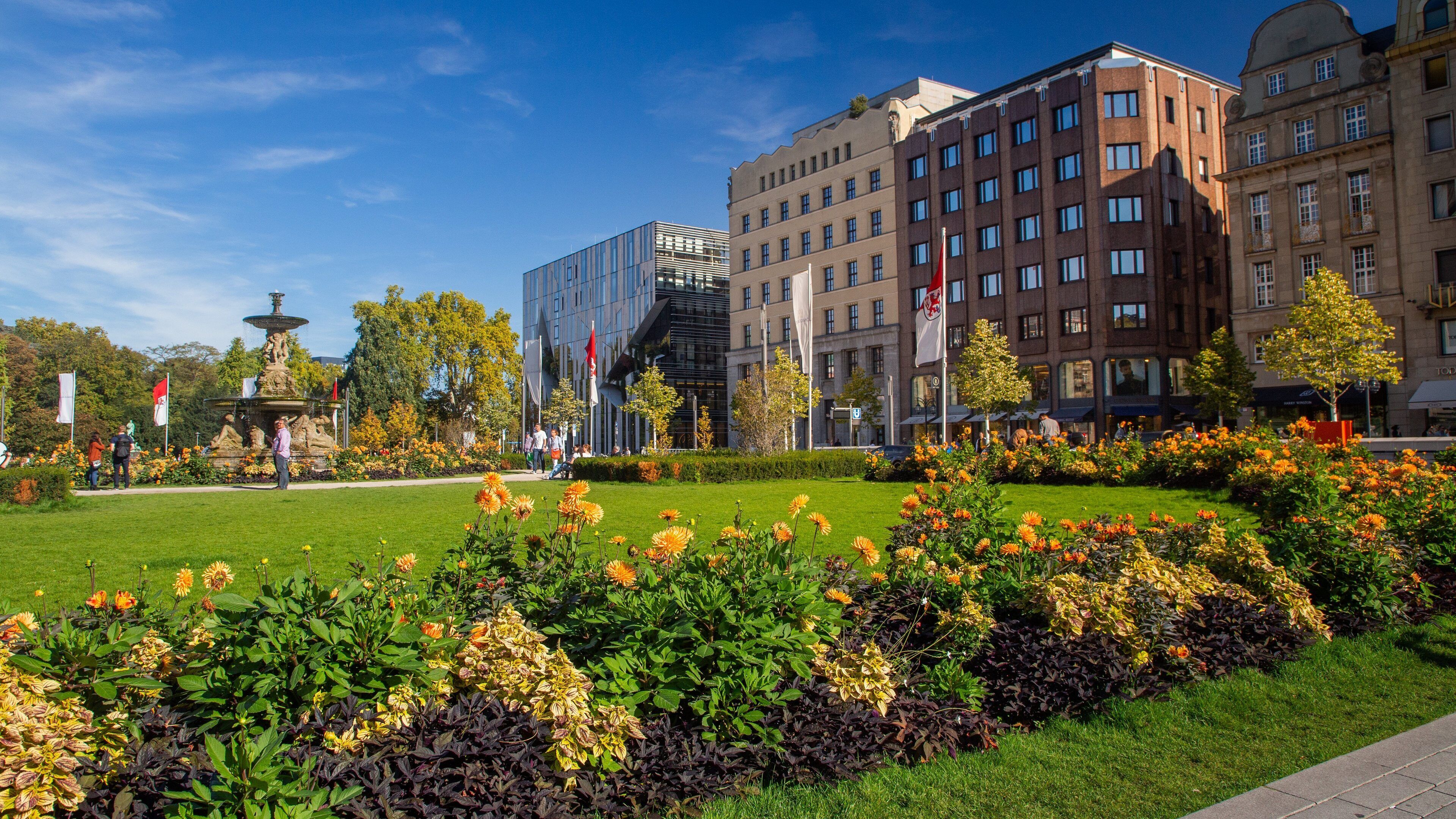 Hofgarten which includes wildflowers and a garden