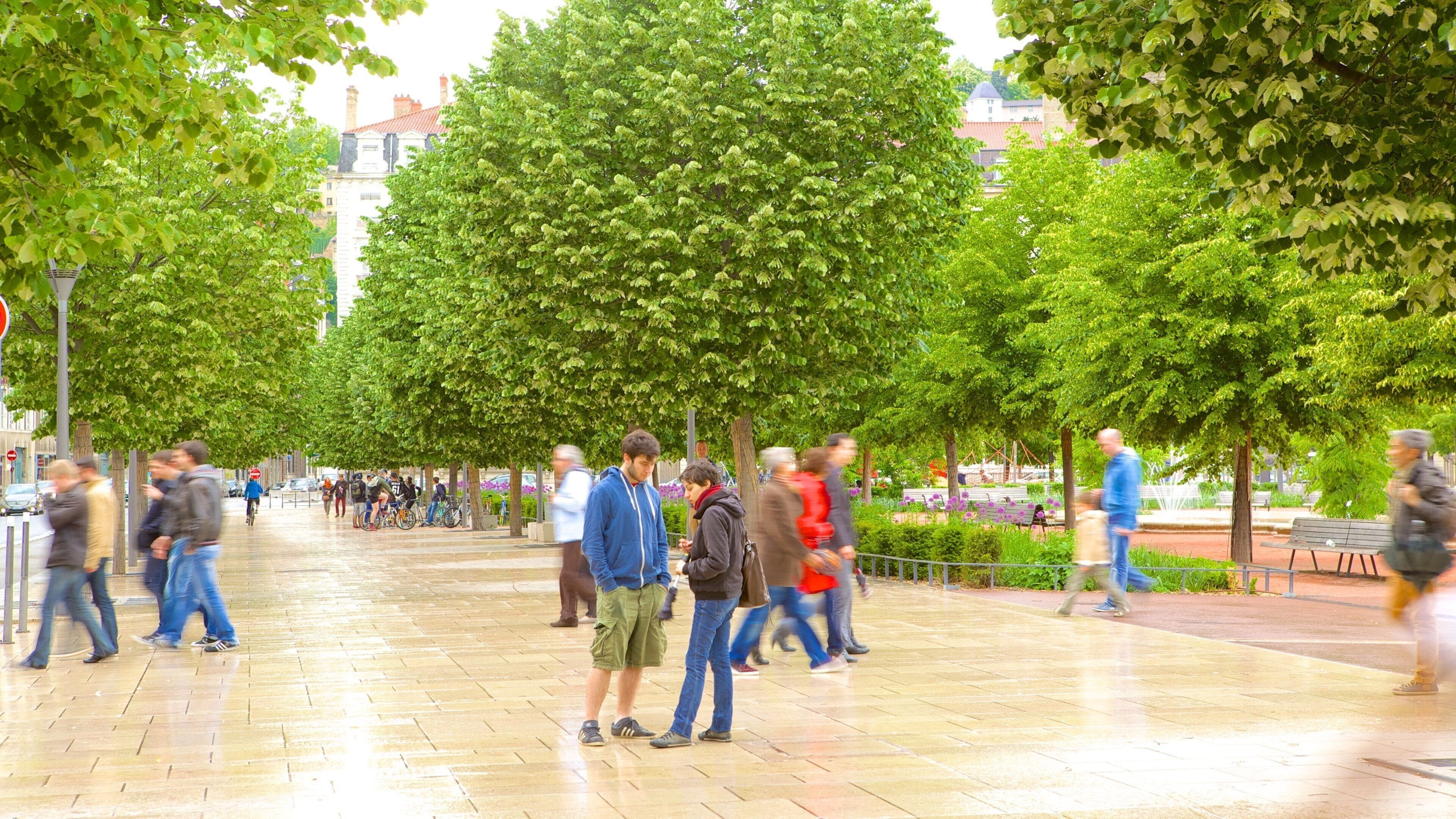 Lyon featuring a square or plaza as well as a large group of people
