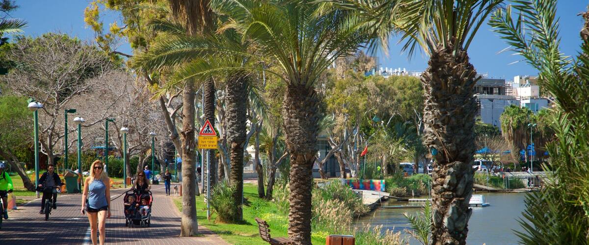 Yarkon Park showing hiking or walking and a park as well as an individual femail