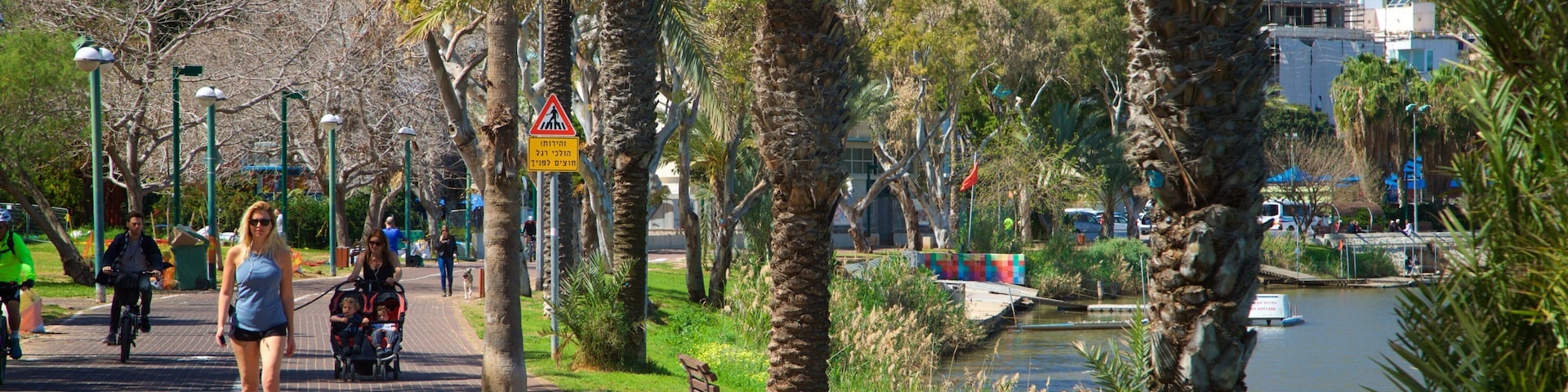 Yarkon Park showing hiking or walking and a park as well as an individual femail