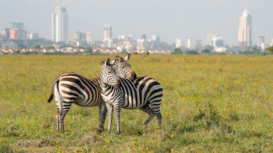 Nairobi National Park