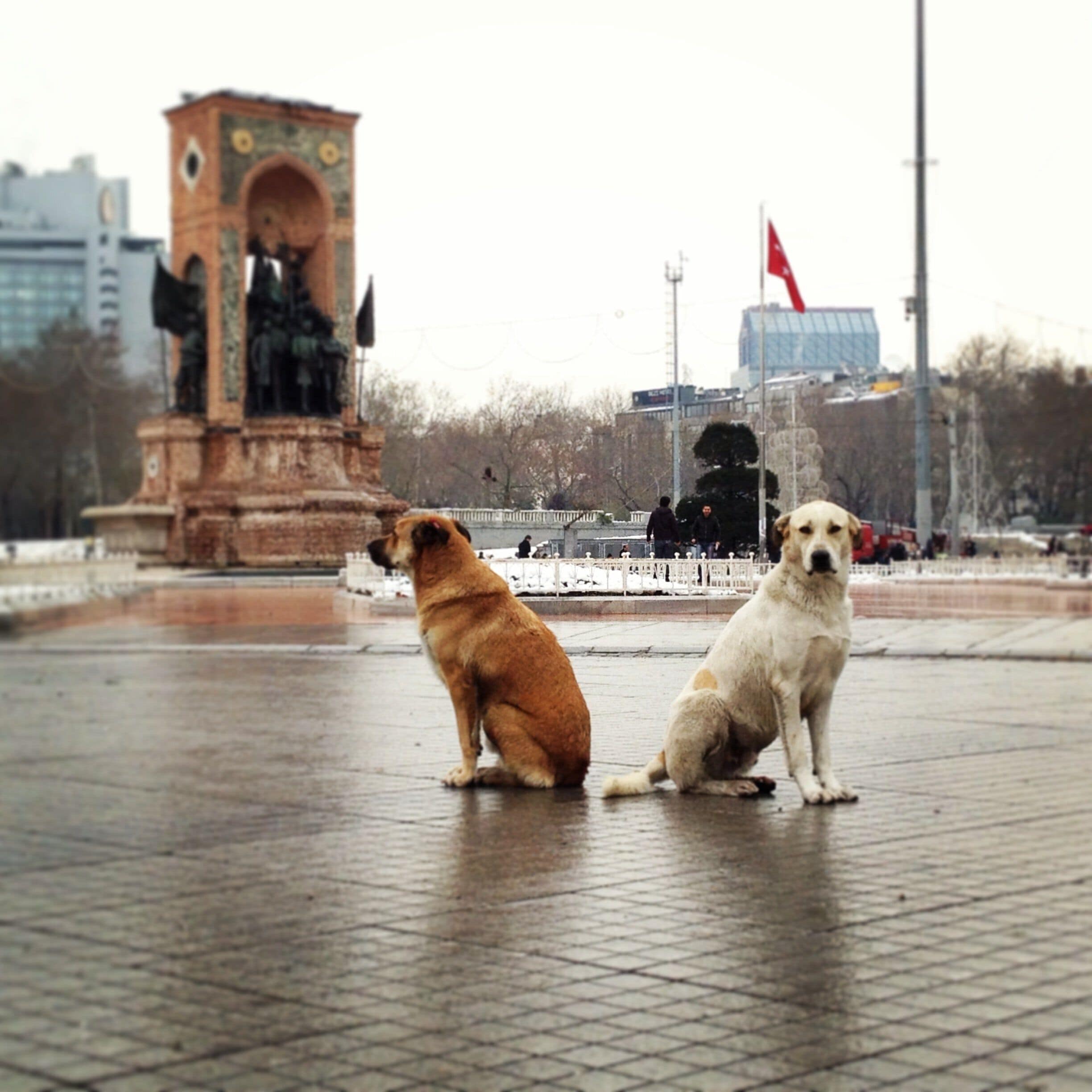 District de Talimhane