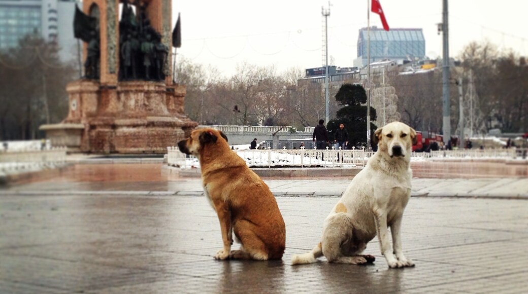 District de Talimhane