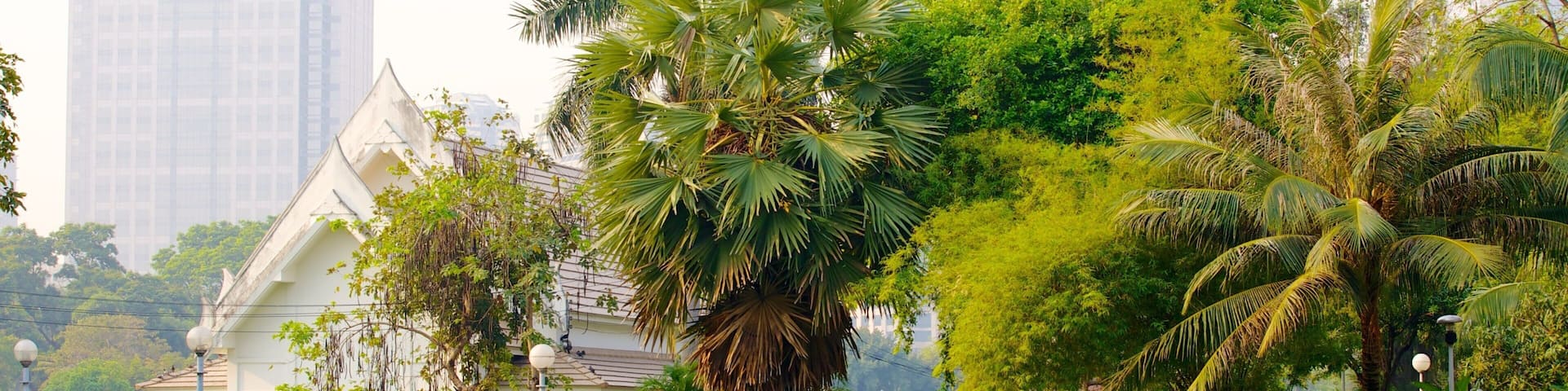 Parc Lumphini mettant en vedette pont, parc et ville