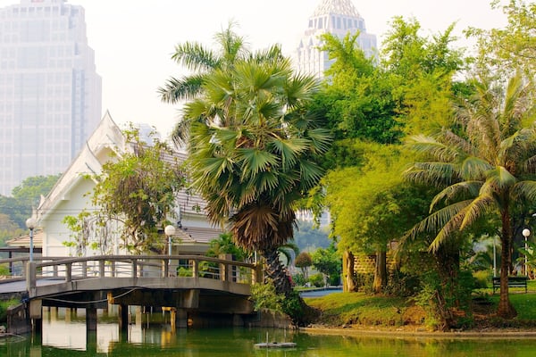 Parc Lumphini mettant en vedette pont, parc et ville