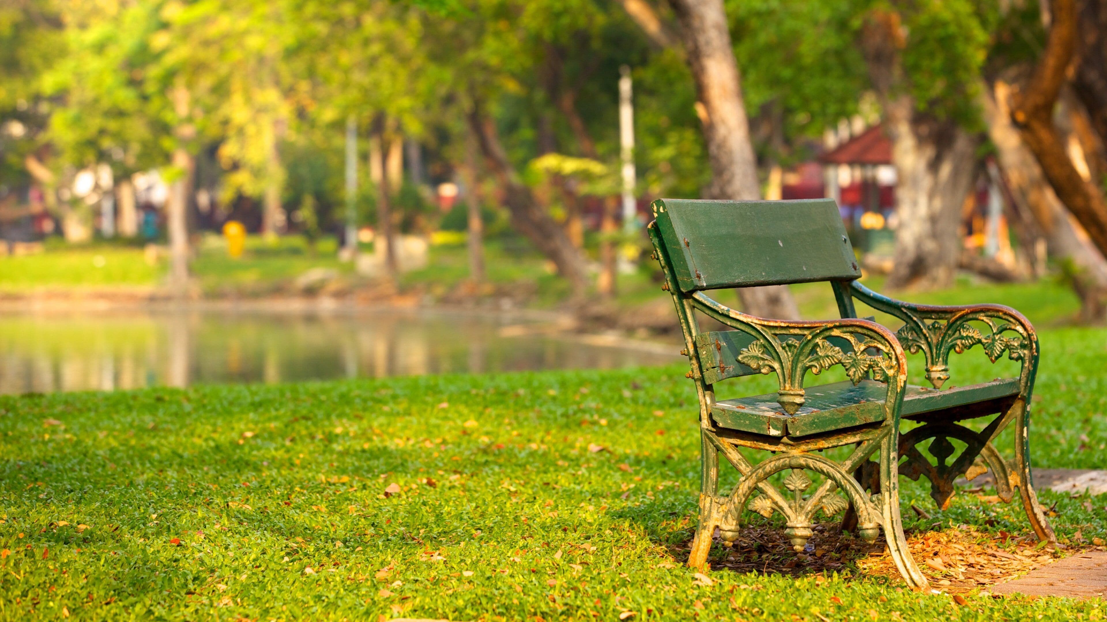 Ratchaprasong featuring a park