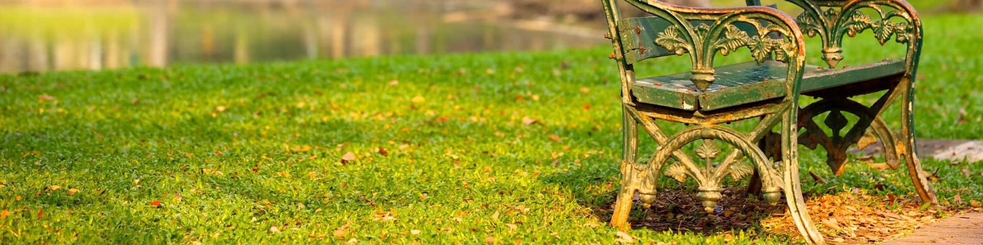 Ratchaprasong featuring a park