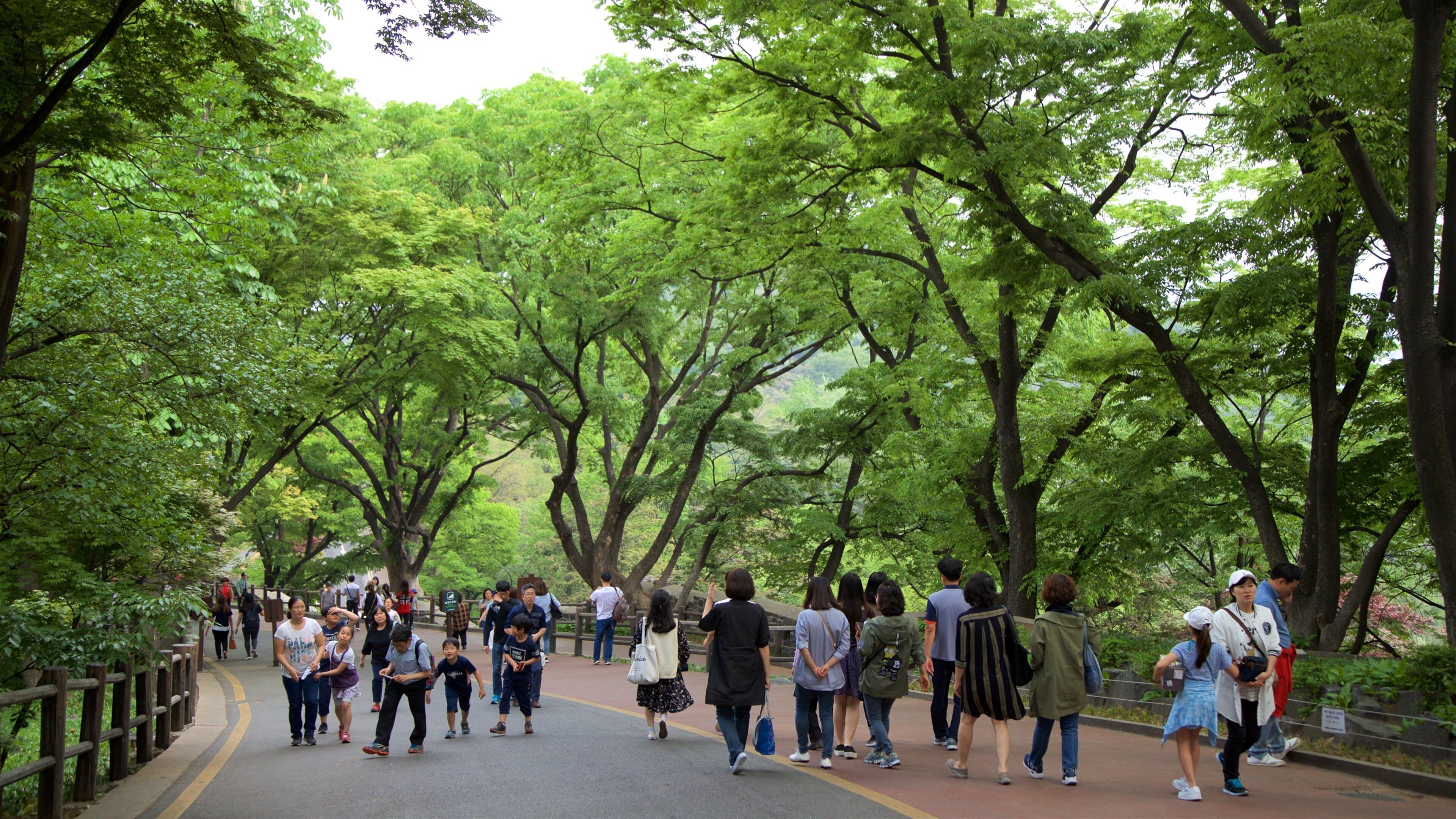 Namsan Park showing hiking or walking and a garden as well as a small group of people