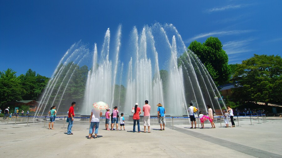 Grand parc des enfants