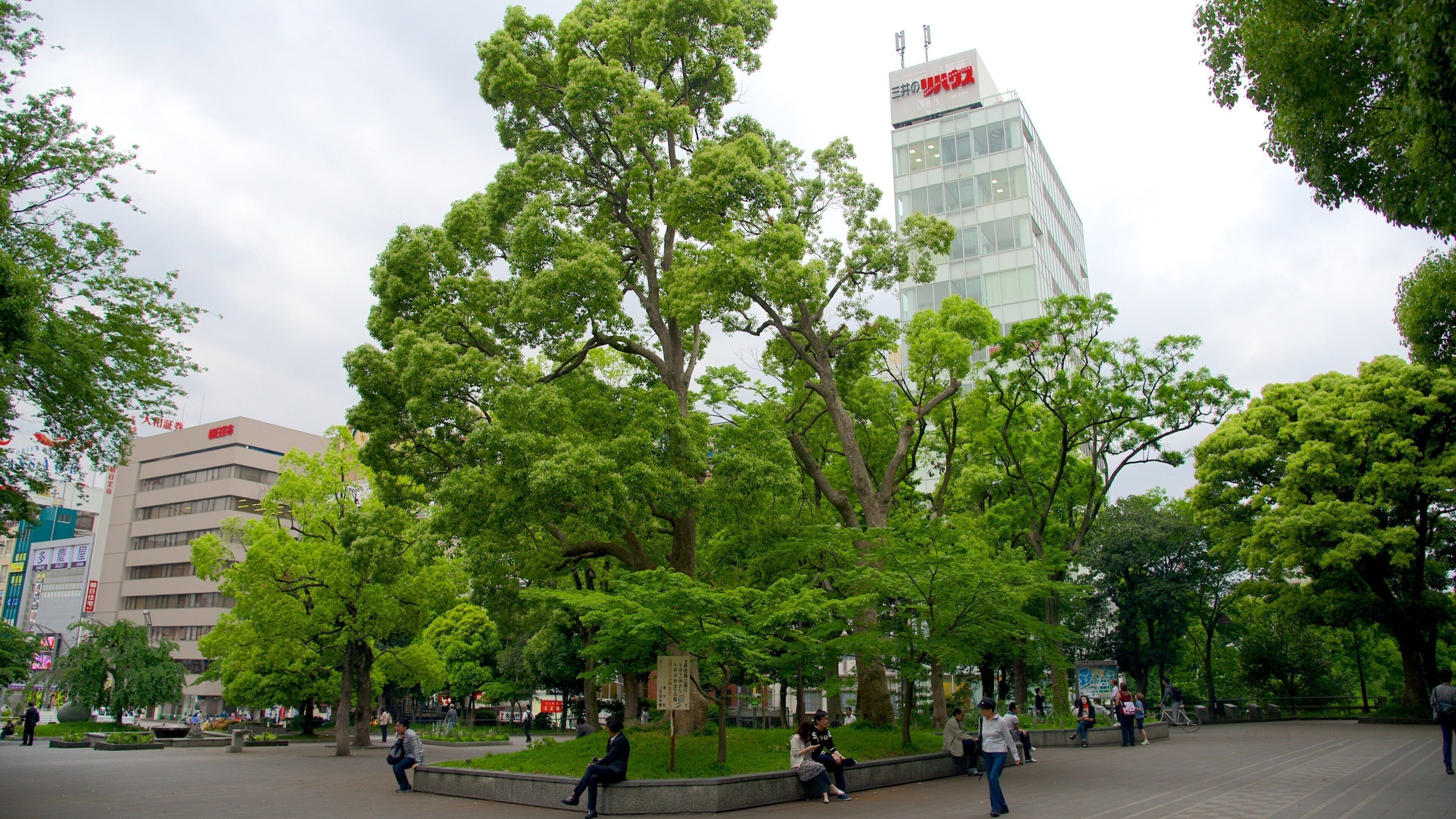 Ueno Park which includes a city and a park