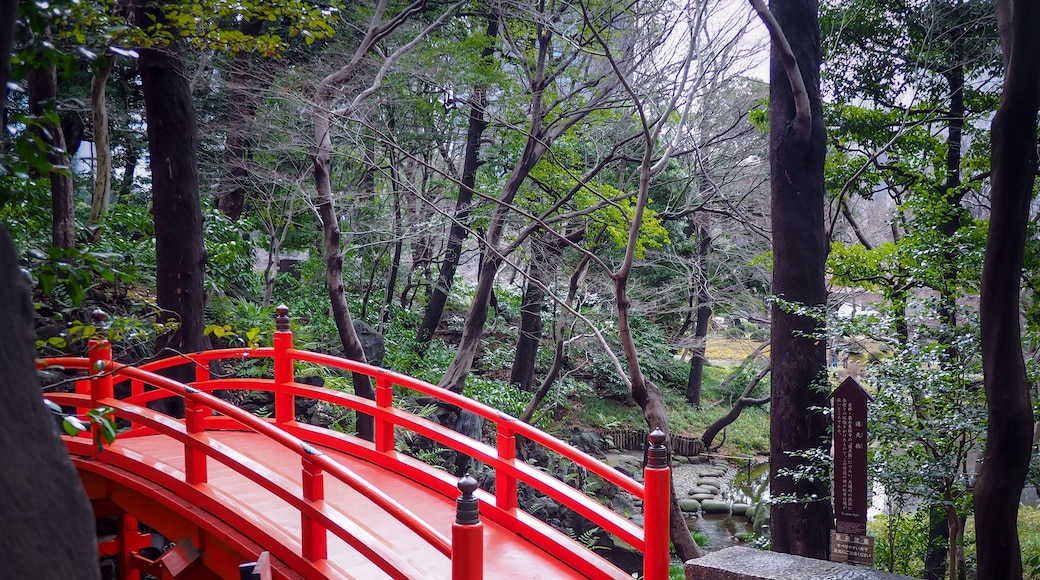 Jardin Koishikawa KĆrakuen