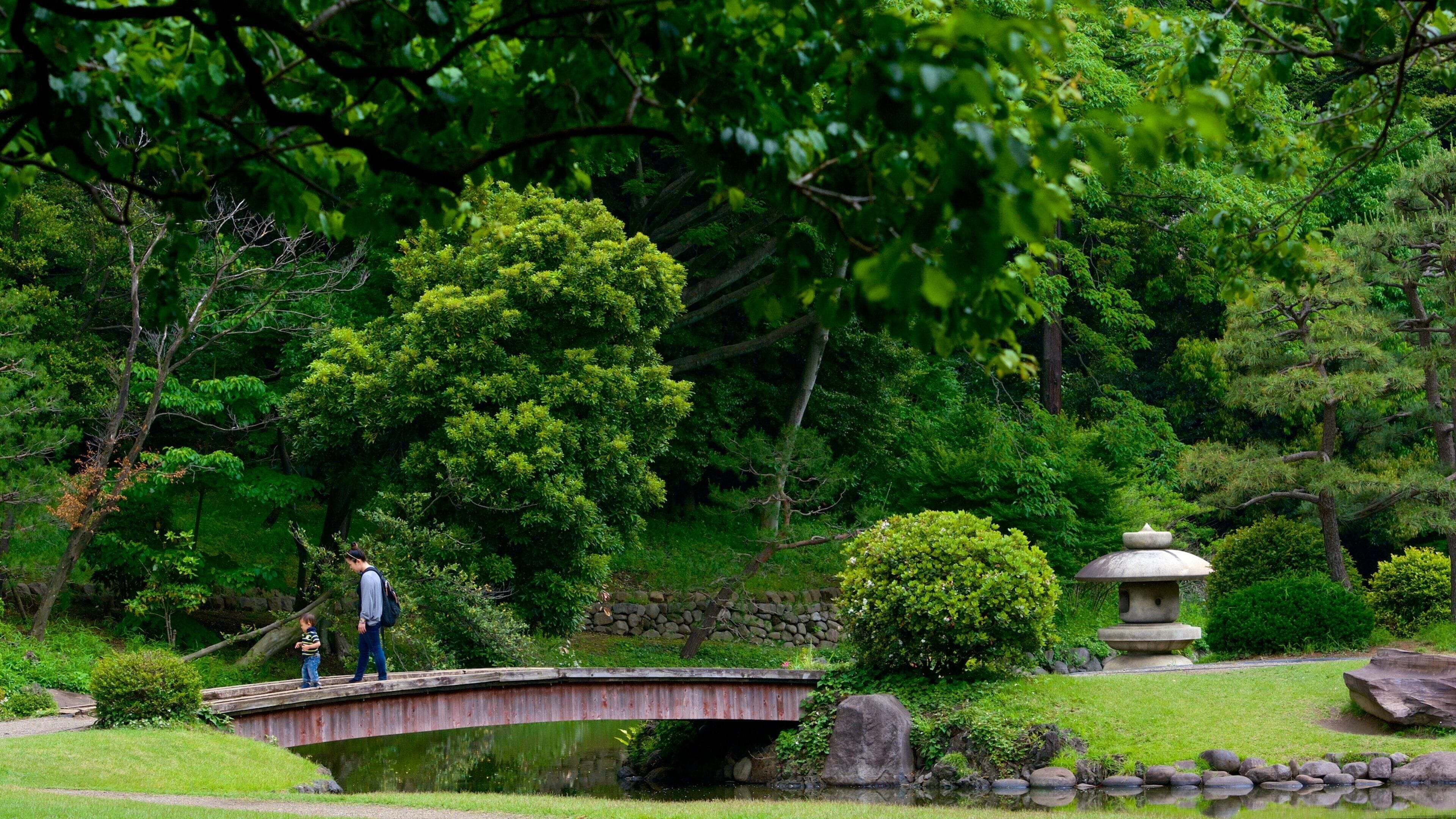 Shinjuku Gyoen National Garden featuring a park, forest scenes and a bridge