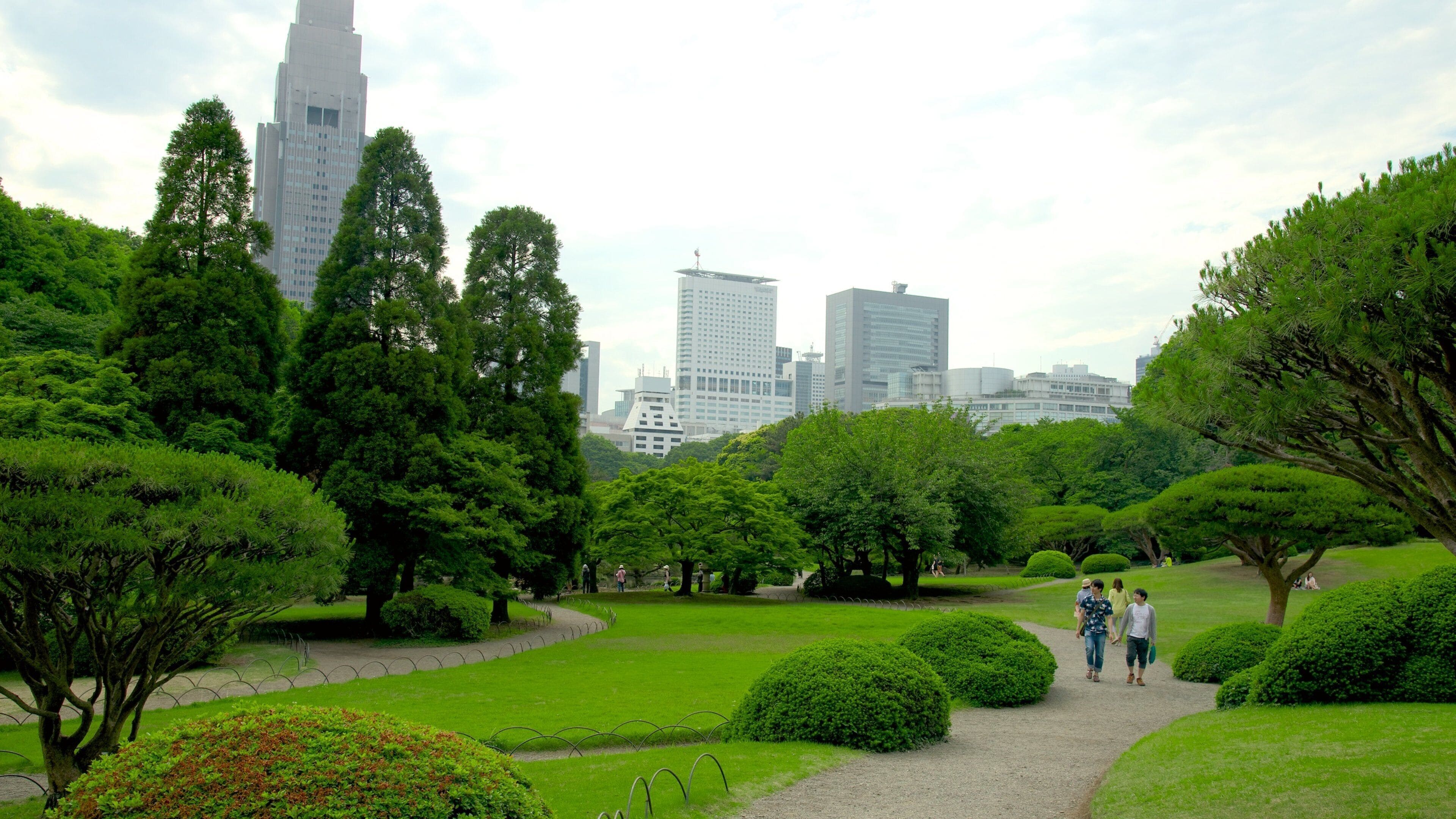 Shinjuku Gyoen National Garden featuring a high rise building, a city and modern architecture