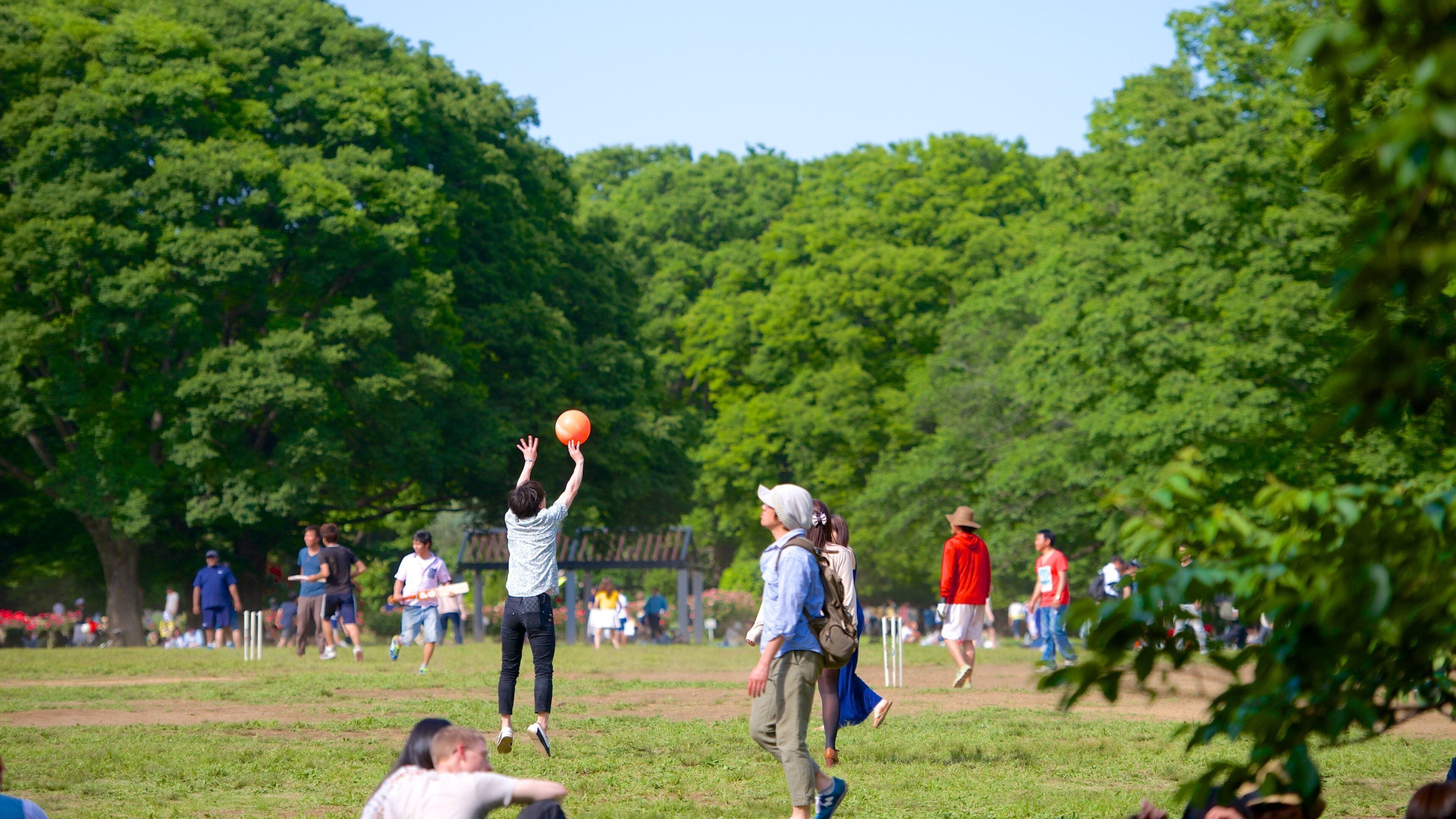 Yoyogi Park showing a garden and landscape views as well as a large group of people