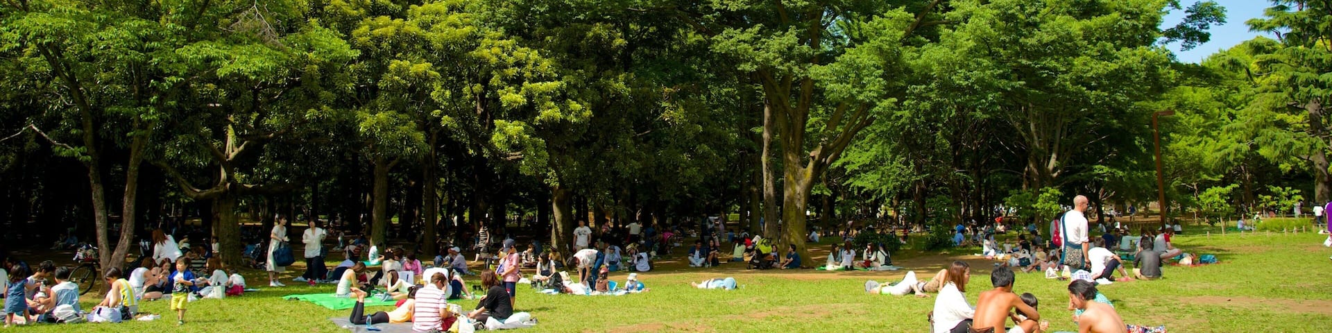 A park with people relaxing on the grass and trees in the background.