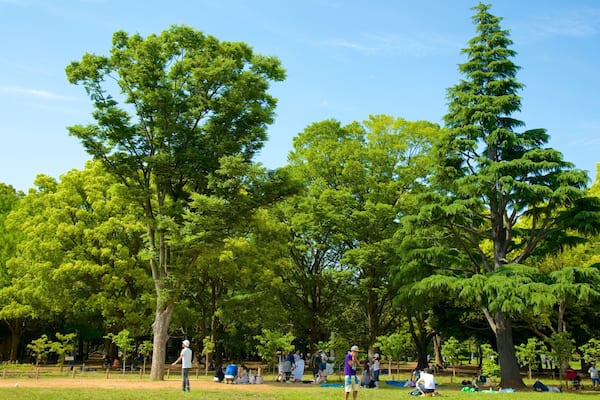 Yoyogi Park showing a garden